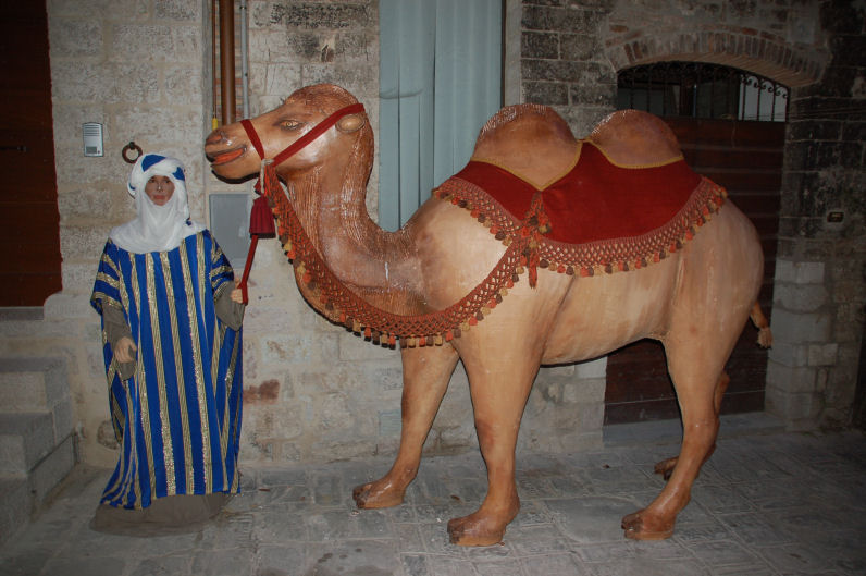 Il presepe del quartiere San Martino. Re Magi